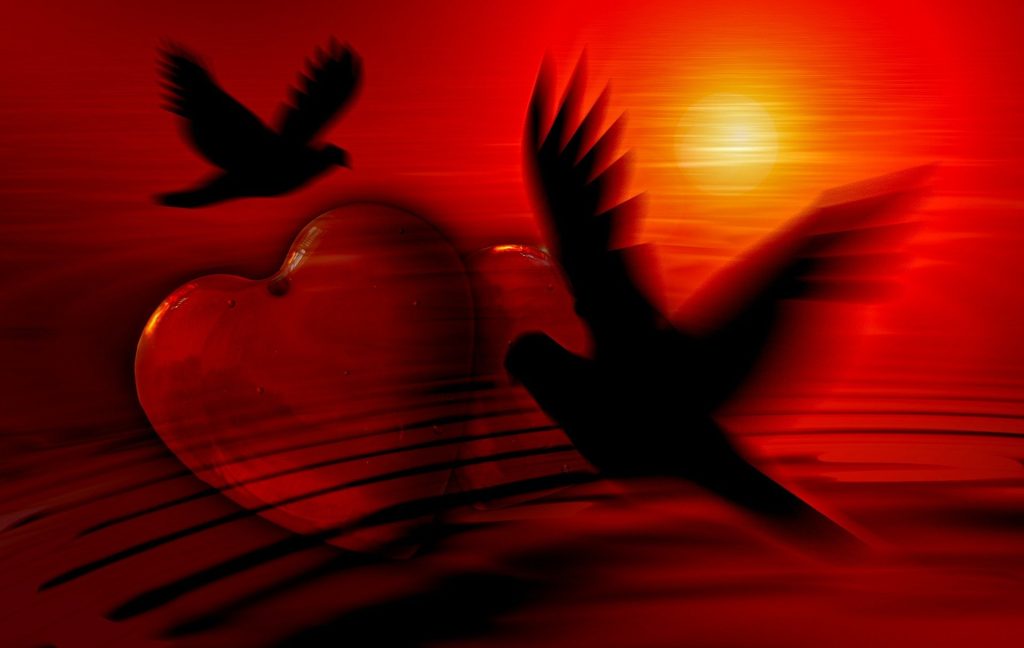 Silhouetted birds flying over a large heart-shaped balloon against a red sunset.